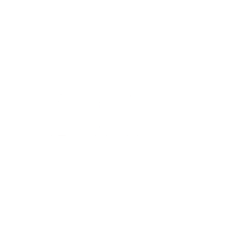 Molina Guzman Logo Spanish